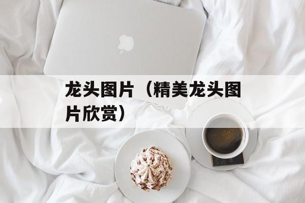 龙头图片（精美龙头图片欣赏）-第1张图片-