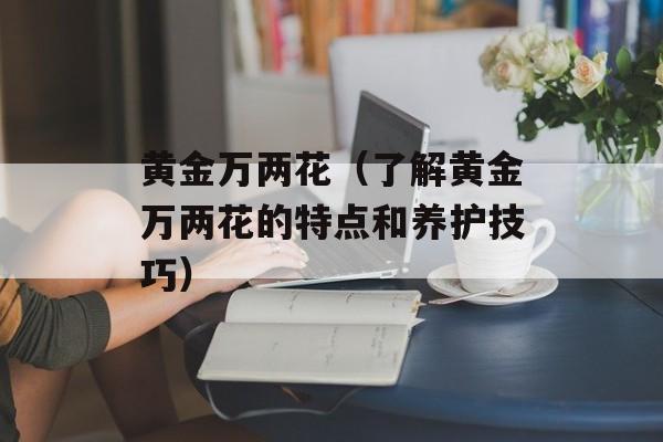 黄金万两花（了解黄金万两花的特点和养护技巧）-第1张图片-