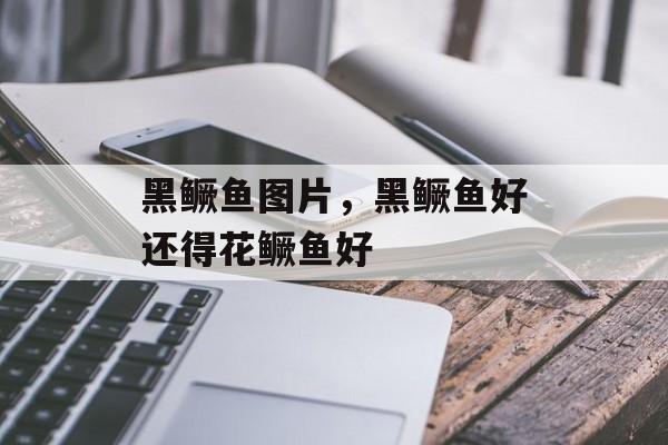 黑鳜鱼图片，黑鳜鱼好还得花鳜鱼好-第1张图片-