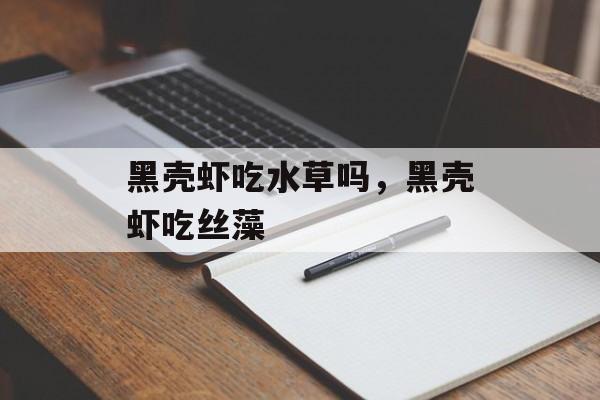 黑壳虾吃水草吗，黑壳虾吃丝藻-第1张图片-