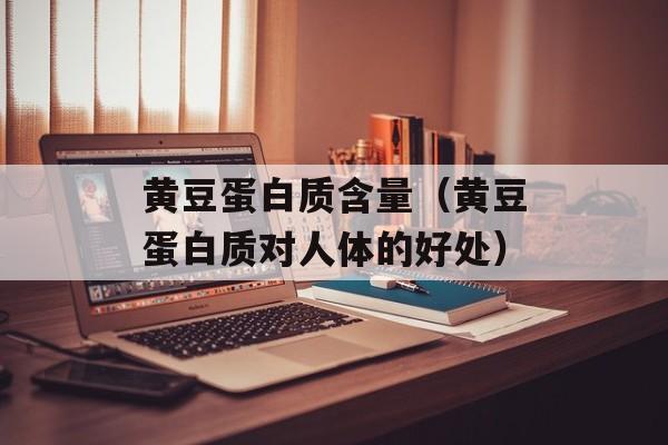 黄豆蛋白质含量（黄豆蛋白质对人体的好处）-第1张图片-