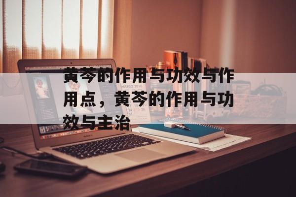 黄芩的作用与功效与作用点，黄芩的作用与功效与主治-第1张图片-