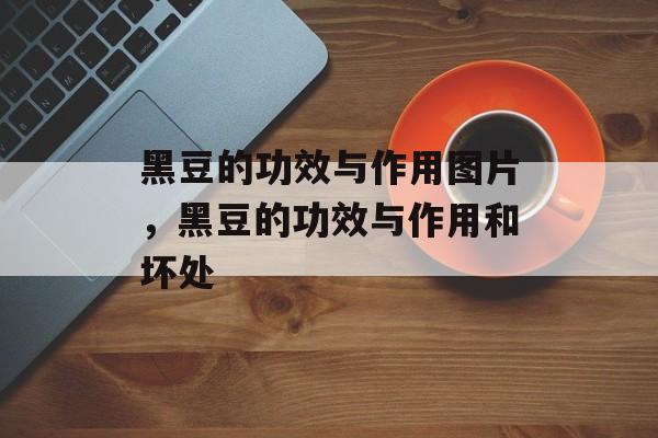 黑豆的功效与作用图片，黑豆的功效与作用和坏处-第1张图片-