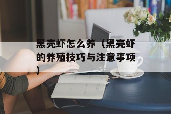 黑壳虾怎么养（黑壳虾的养殖技巧与注意事项）-第1张图片-
