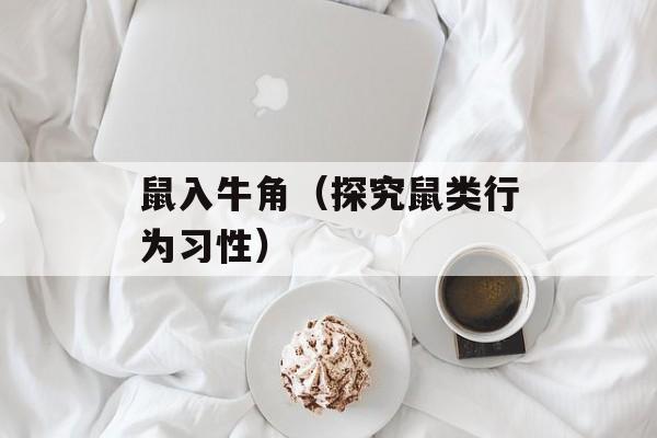 鼠入牛角（探究鼠类行为习性）-第1张图片-
