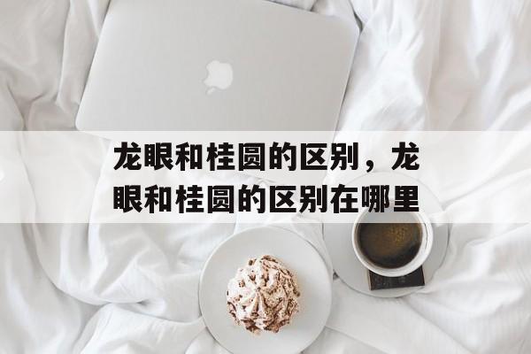 龙眼和桂圆的区别，龙眼和桂圆的区别在哪里-第1张图片-