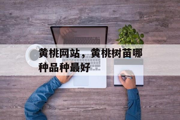 黄桃网站，黄桃树苗哪种品种最好-第1张图片-