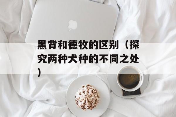 黑背和德牧的区别（探究两种犬种的不同之处）-第1张图片-