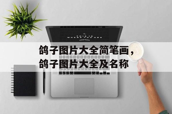 鸽子图片大全简笔画，鸽子图片大全及名称-第1张图片-
