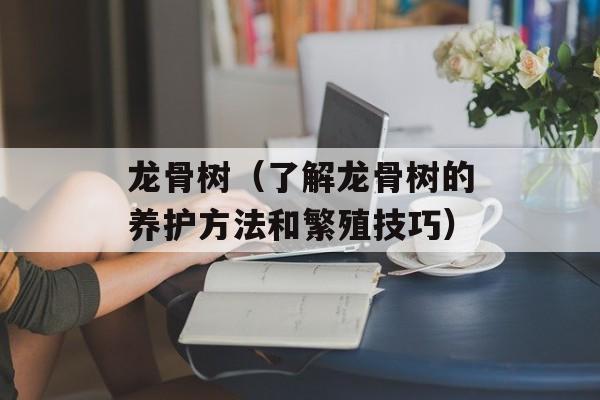 龙骨树（了解龙骨树的养护方法和繁殖技巧）-第1张图片-