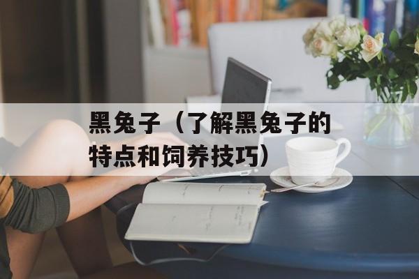 黑兔子（了解黑兔子的特点和饲养技巧）-第1张图片-