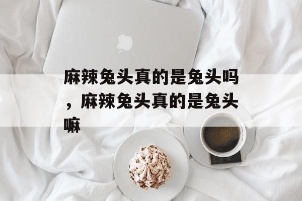 麻辣兔头真的是兔头吗，麻辣兔头真的是兔头嘛-第1张图片-