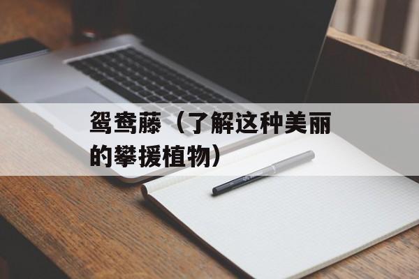 鸳鸯藤（了解这种美丽的攀援植物）-第1张图片-