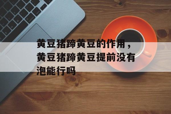 黄豆猪蹄黄豆的作用，黄豆猪蹄黄豆提前没有泡能行吗-第1张图片-