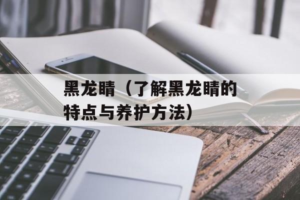 黑龙睛（了解黑龙睛的特点与养护方法）-第1张图片-