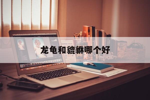 龙龟和貔貅哪个好-第1张图片-