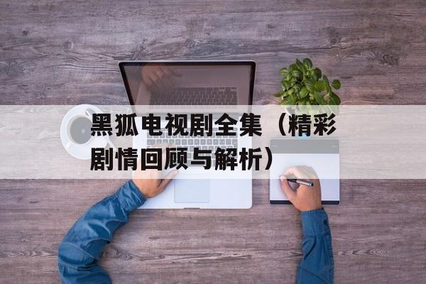 黑狐电视剧全集（精彩剧情回顾与解析）-第1张图片-