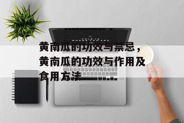 黄南瓜的功效与禁忌，黄南瓜的功效与作用及食用方法-第1张图片-