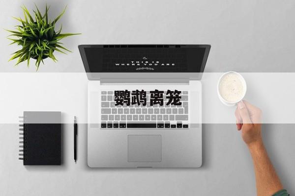 鹦鹉离笼-第1张图片-