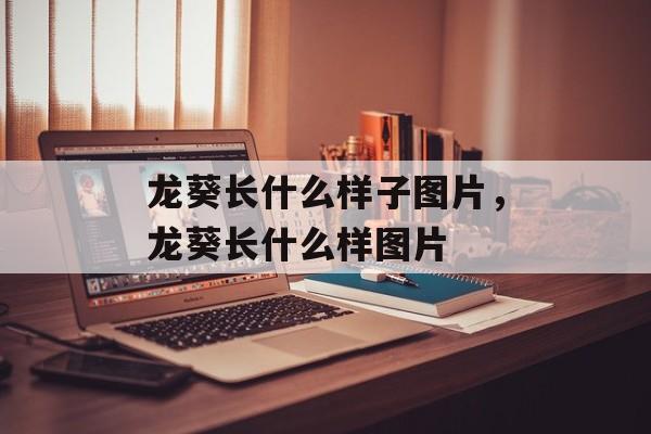 龙葵长什么样子图片，龙葵长什么样图片-第1张图片-