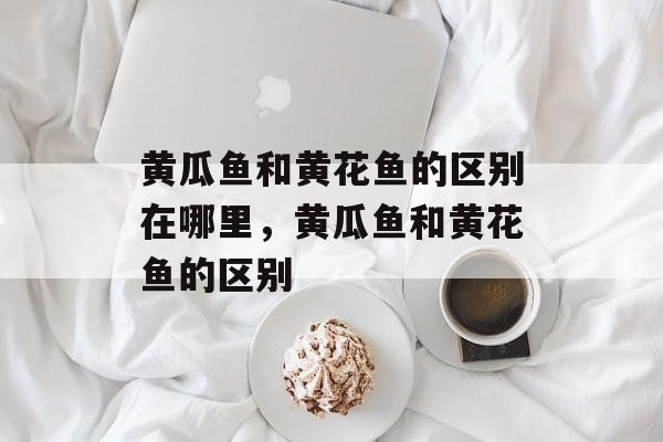 黄瓜鱼和黄花鱼的区别在哪里，黄瓜鱼和黄花鱼的区别-第1张图片-