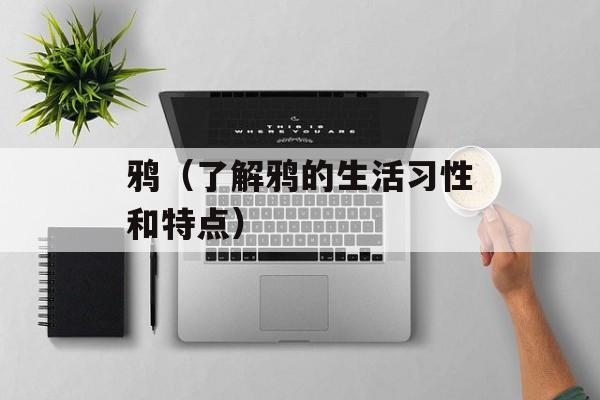 鸦（了解鸦的生活习性和特点）-第1张图片-