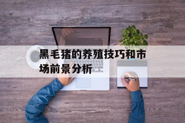 黑毛猪的养殖技巧和市场前景分析-第1张图片-