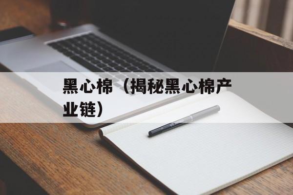 黑心棉（揭秘黑心棉产业链）-第1张图片-