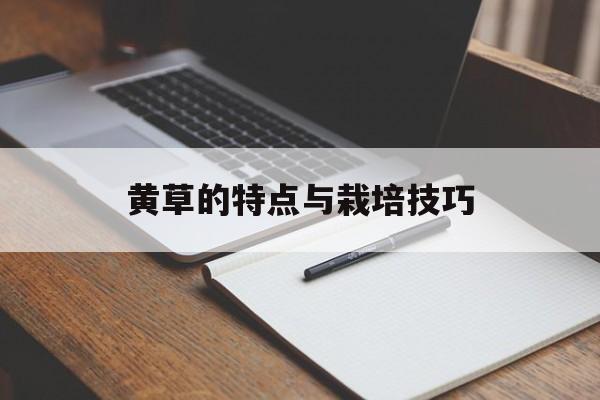 黄草的特点与栽培技巧-第1张图片-