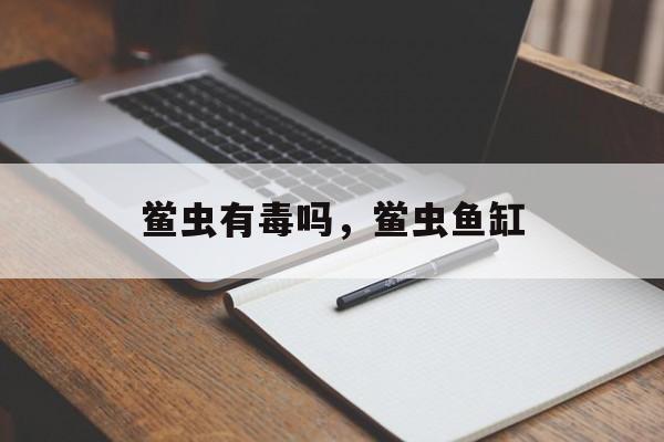 鲎虫有毒吗，鲎虫鱼缸-第1张图片-