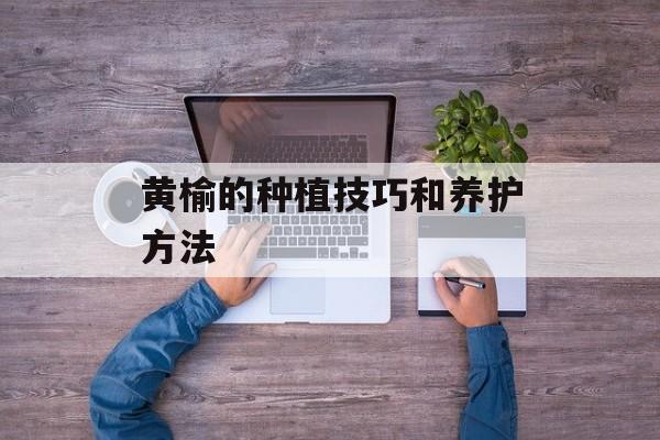 黄榆的种植技巧和养护方法-第1张图片-