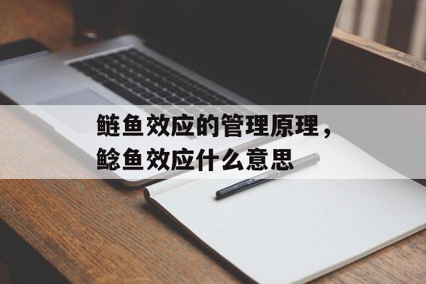 鲢鱼效应的管理原理，鲶鱼效应什么意思-第1张图片-