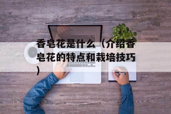 香皂花是什么（介绍香皂花的特点和栽培技巧）-第1张图片-