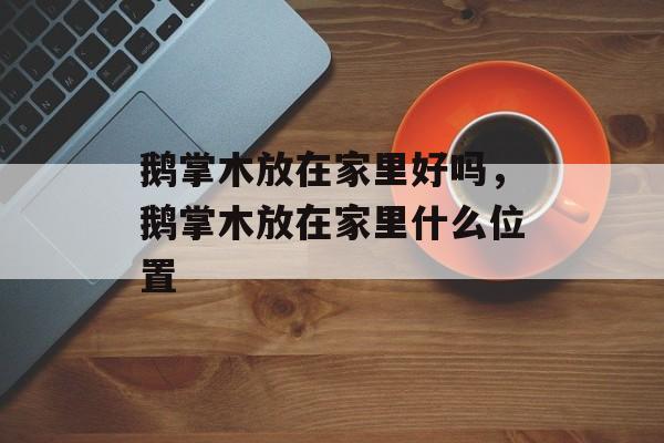 鹅掌木放在家里好吗，鹅掌木放在家里什么位置-第1张图片-