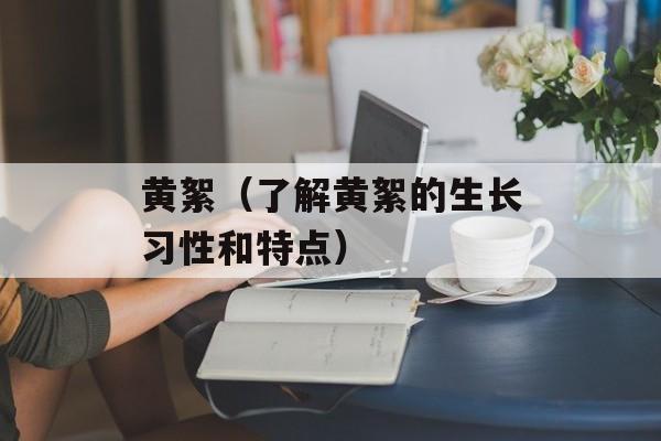 黄絮（了解黄絮的生长习性和特点）-第1张图片-