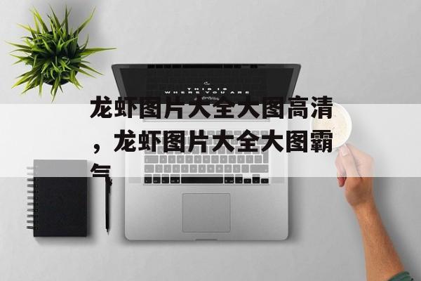 龙虾图片大全大图高清，龙虾图片大全大图霸气-第1张图片-