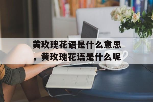 黄玫瑰花语是什么意思，黄玫瑰花语是什么呢-第1张图片-