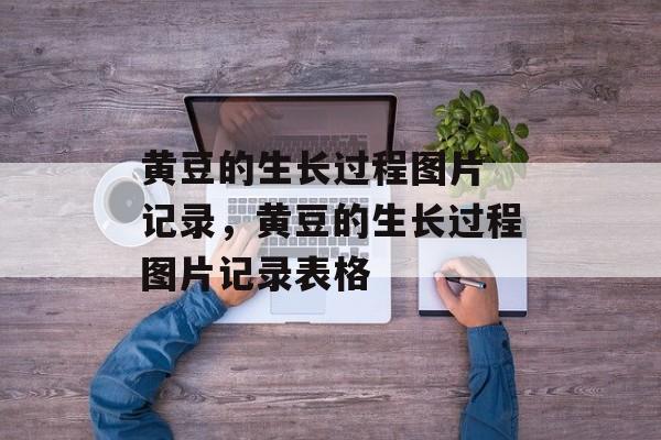 黄豆的生长过程图片 记录，黄豆的生长过程图片记录表格-第1张图片-