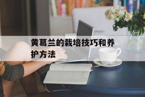 黄葛兰的栽培技巧和养护方法-第1张图片-