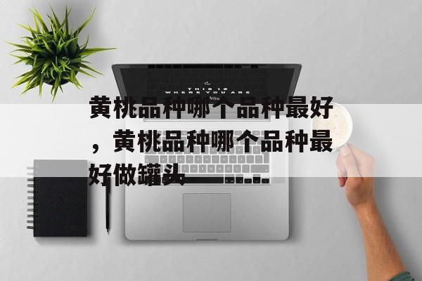 黄桃品种哪个品种最好，黄桃品种哪个品种最好做罐头-第1张图片-
