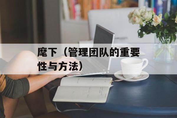 麾下（管理团队的重要性与方法）-第1张图片-