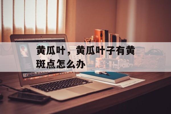黄瓜叶，黄瓜叶子有黄斑点怎么办-第1张图片-