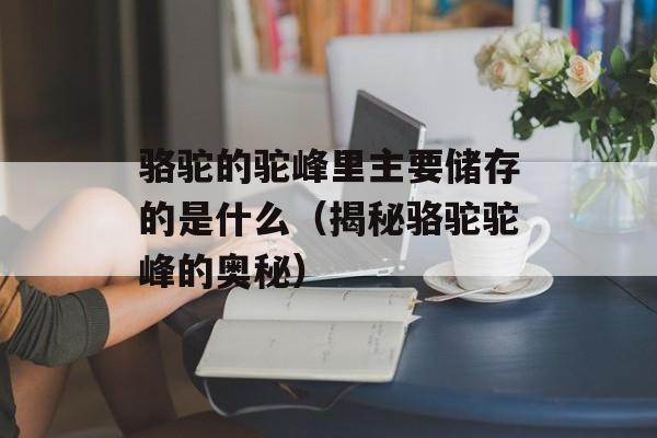 骆驼的驼峰里主要储存的是什么（揭秘骆驼驼峰的奥秘）-第1张图片-