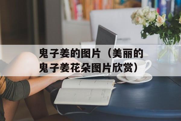 鬼子姜的图片（美丽的鬼子姜花朵图片欣赏）-第1张图片-