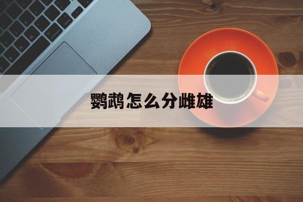 鹦鹉怎么分雌雄-第1张图片-