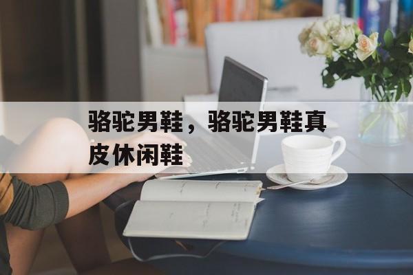 骆驼男鞋，骆驼男鞋真皮休闲鞋-第1张图片-