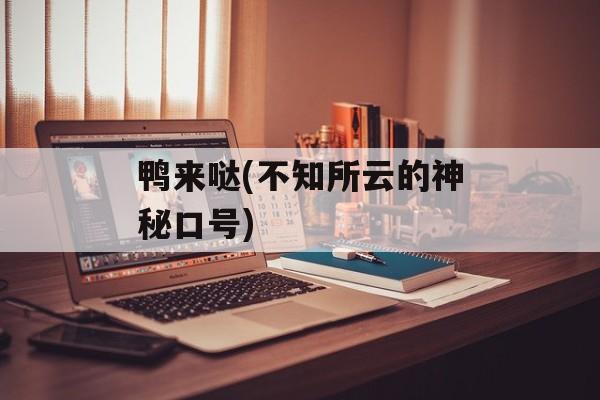 鸭来哒(不知所云的神秘口号)-第1张图片-