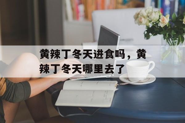 黄辣丁冬天进食吗，黄辣丁冬天哪里去了-第1张图片-