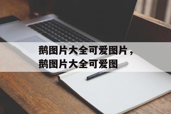鹅图片大全可爱图片，鹅图片大全可爱图-第1张图片-