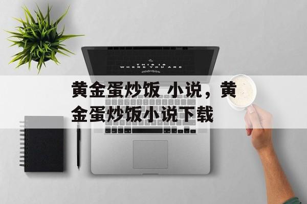 黄金蛋炒饭 小说，黄金蛋炒饭小说下载-第1张图片-